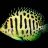 Abyssopelagic