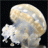 timespinner