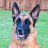 K9