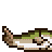 Smo